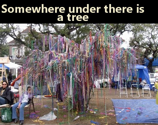 17 pictures of Mardi Gras you don't get to see