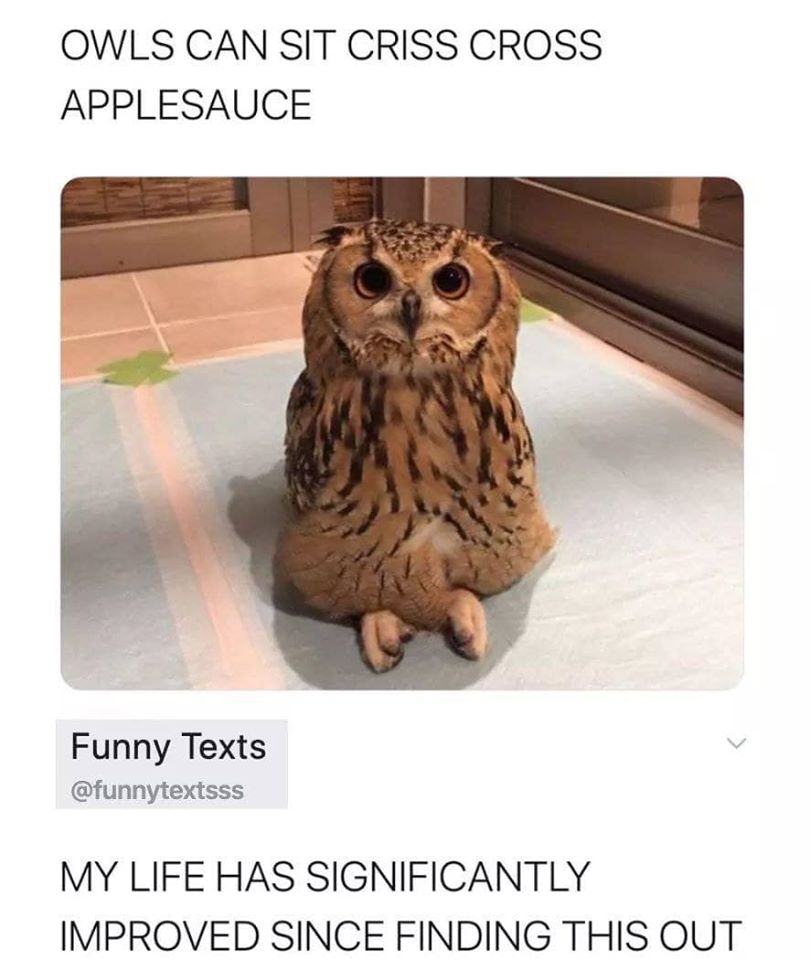 Internet meme - Owls Can Sit Criss Cross Applesauce Funny Texts My Life Has Significantly Improved Since Finding This Out