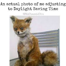 daylight saving funny memes - An actual photo of me adjusting to Daylight Saving Time NoDomestieDive