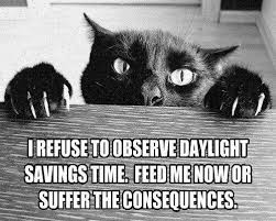 evil cat - I Refuse To Observe Daylight Savings Time, Feed Me Now Or Suffer The Consequences.