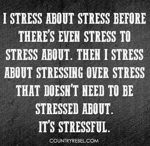 stress about stress - E I Stress About Stress Before There'S Even Stress To Stress About. Then I Stress About Stressing Over Stress That Doesn'T Need To Be Stressed About. It'S Stressful. Countryrebel.Com