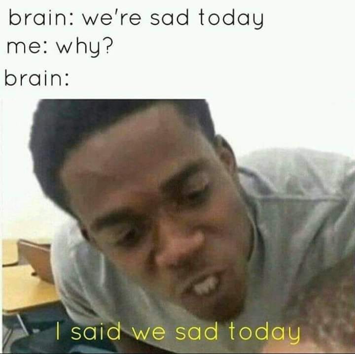 we sad today meme - brain we're sad today me why? brain I said we sad today