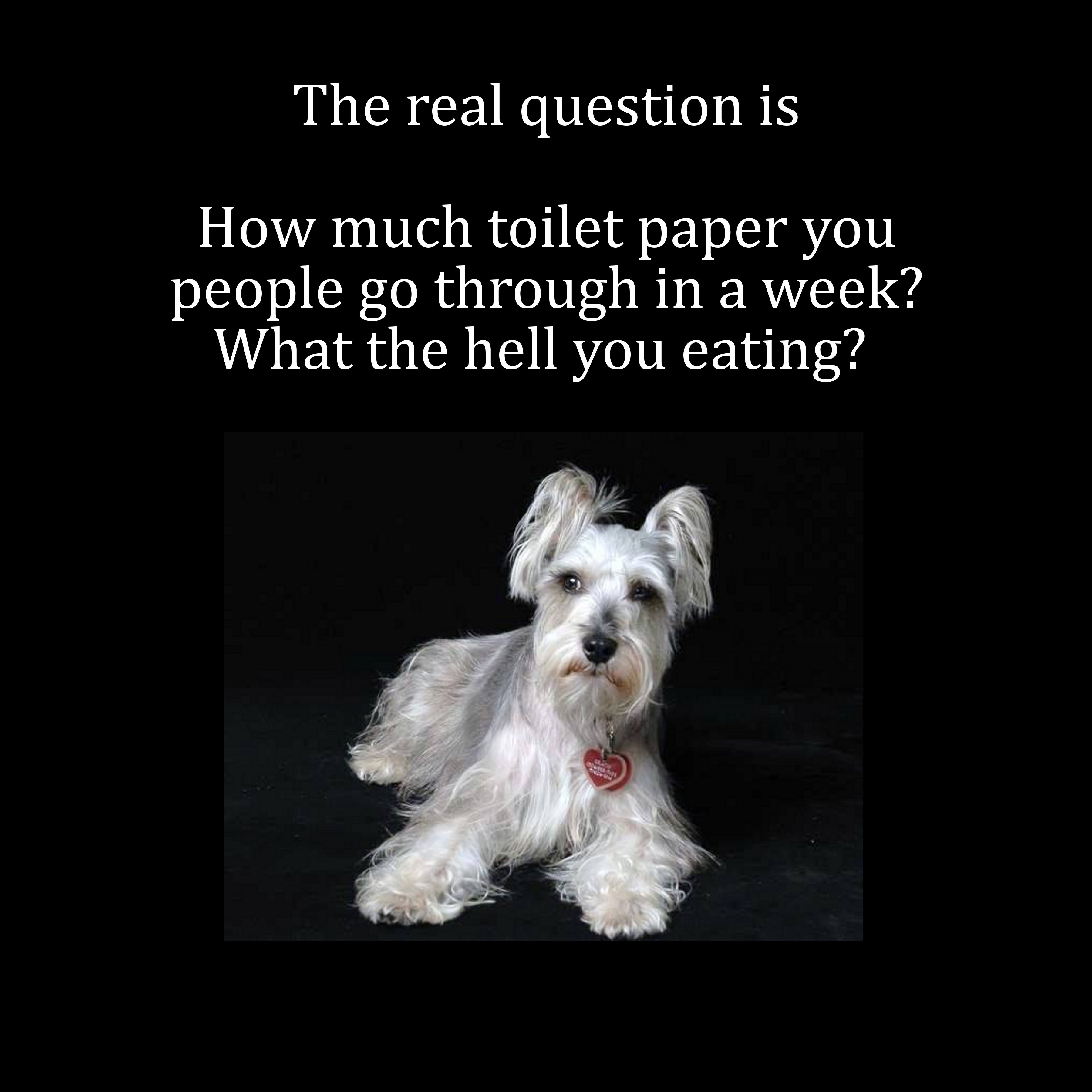 assembleia de deus - The real question is How much toilet paper you people go through in a week? What the hell you eating?