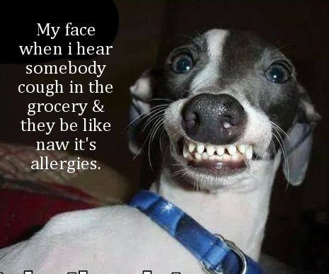 orthodontics funny meme - My face when i hear somebody cough in the grocery & they be naw it's allergies.