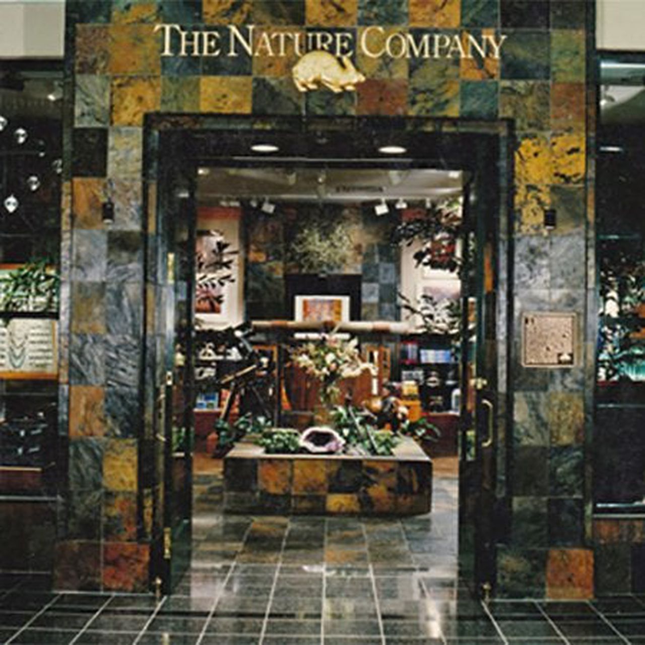 nature company store - The Nature Company