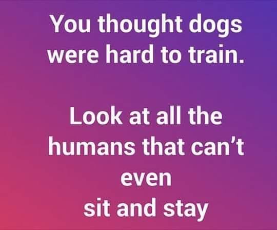 material - You thought dogs were hard to train. Look at all the humans that can't even sit and stay