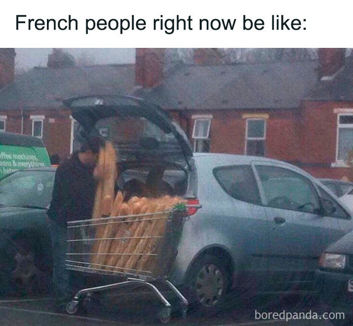 french people preparing for the apocalypse - French people right now be eli mo ons & everythiuso boredpanda.com