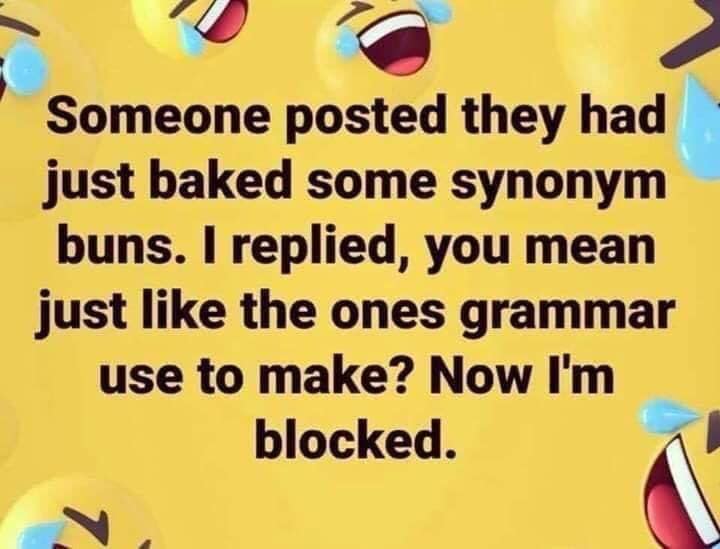 sassy and funny quotes - Someone posted they had just baked some synonym buns. I replied, you mean just the ones grammar use to make? Now I'm blocked.