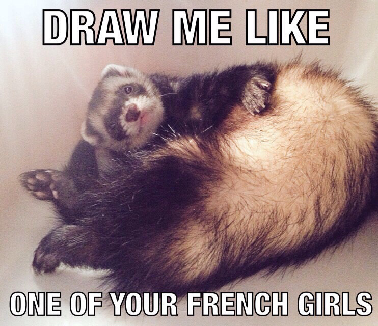 ferret - Draw Me One Of Your French Girls