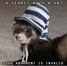 ferret funny - A Ferret With A Hat Your Argument Is Invalid