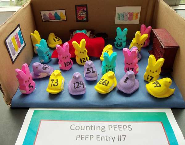 toy - 24 3 124 Counting Peeps Peep Entry