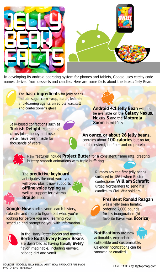 jelly beans infographic - Jelly Beauj Facts in developing its Android operating system for phones and tablets, Google uses catchy code names derived from desserts and candies. Here are some facts about the latest Jelly Bean, The basic ingredients for year