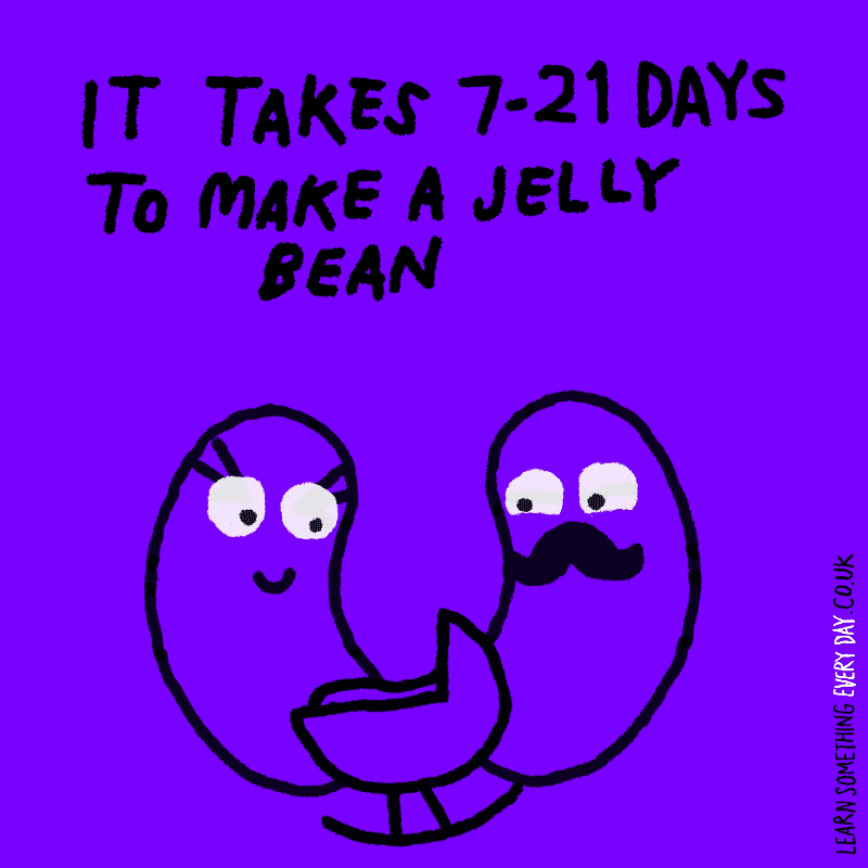 cartoon - It Takes 721 Days To Make A Jelly Bean Learn Something Every Day Co.Uk