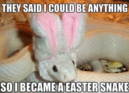 first and last refreshment house in england - They Said I Could Be Anything So I Became A Easter Snake