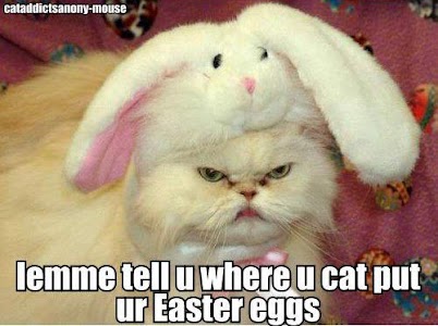 funny angry cat - cataddictsanonymouse lemme tell u where u cat put ur Easter eggs