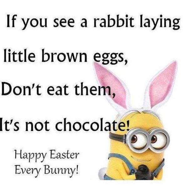 easter quotes funny - If you see a rabbit laying little brown eggs, Don't eat them, It's not chocolate! Happy Easter Every Bunny!