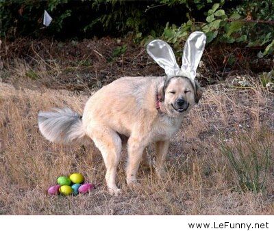 easter funny -