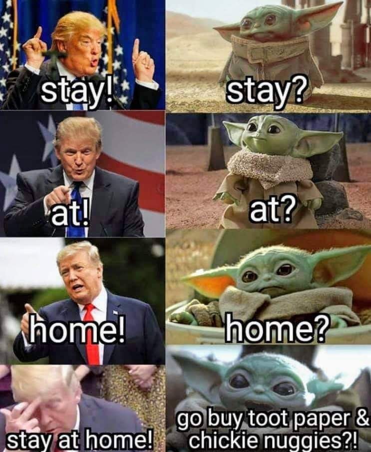 donald trump versus baby yoda meme - stay! stay? at! at? home! home? stay at home! go buy toot paper & chickie nuggies?!