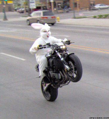 easter bunny on motorcycle