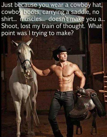 shirtless bull rider - Just because you wear a cowboy hat, cowboy boots, carrying a saddle, no shirt... muscles... doesn't make you a... Shoot, lost my train of thought. What point was I trying to make?
