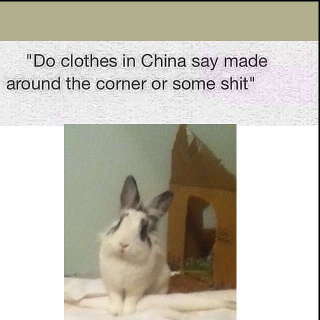 photo caption - "Do clothes in China say made around the corner or some shit"