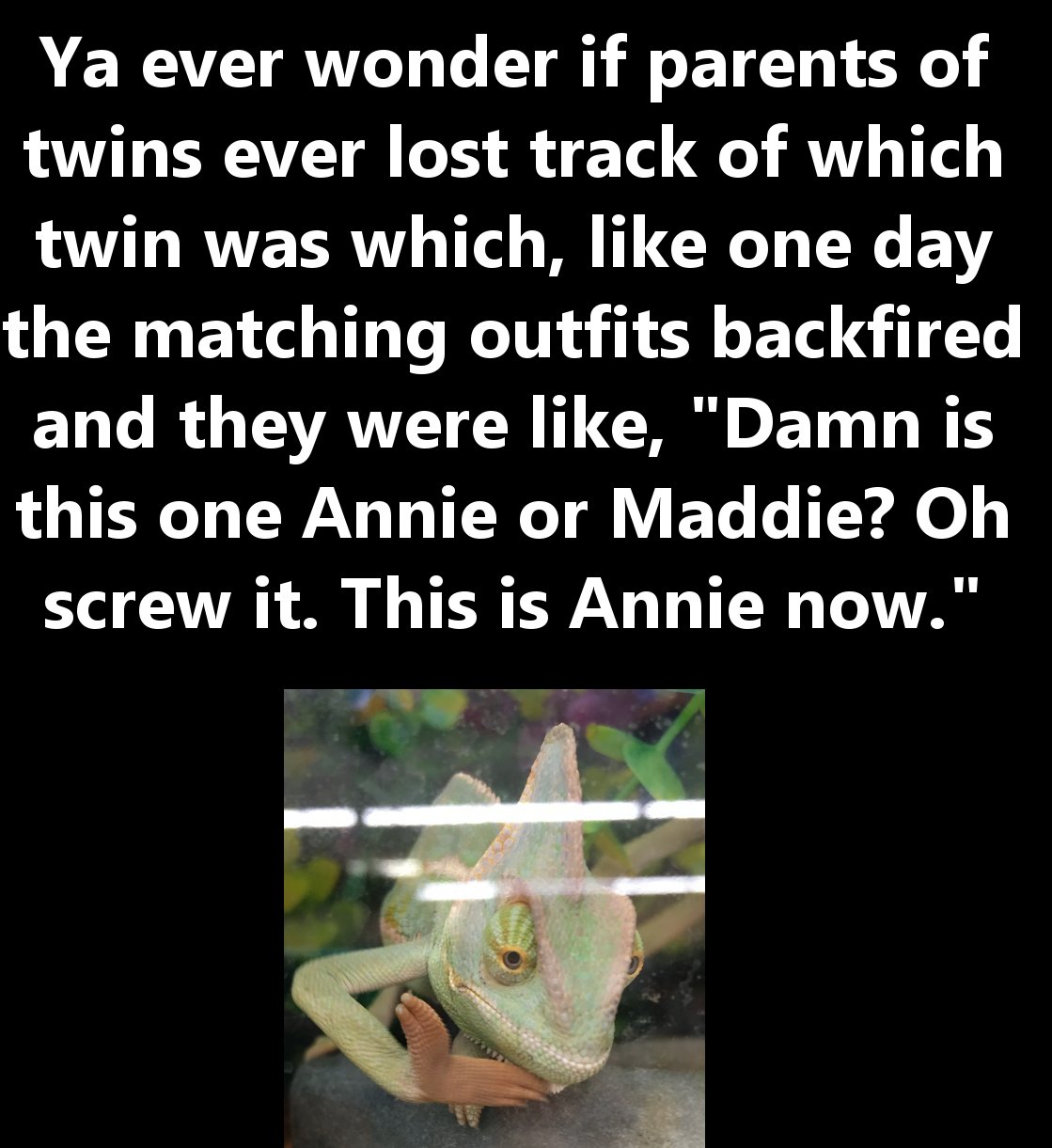 photo caption - Ya ever wonder if parents of twins ever lost track of which twin was which, one day the matching outfits backfired and they were , "Damn is this one Annie or Maddie? Oh screw it. This is Annie now."