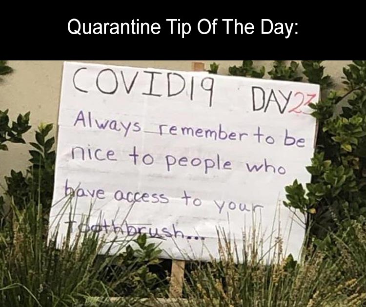 neighbor's front lawn dad joke - Quarantine Tip Of The Day COVIDI9 Day Z Always remember to be nice to people who bave access to your Toothbrush.