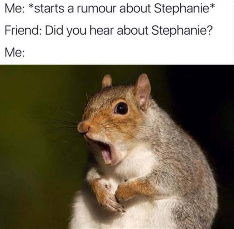 weekly memes - Me starts a rumour about Stephanie Friend Did you hear about Stephanie? Me