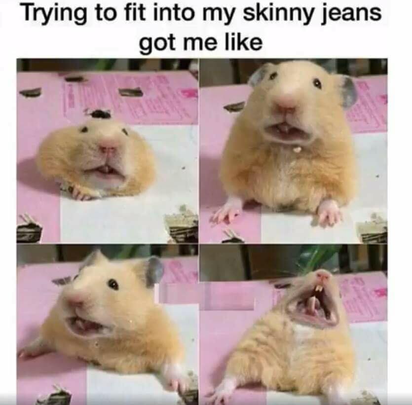 cute pictures to make you smile - Trying to fit into my skinny jeans got me