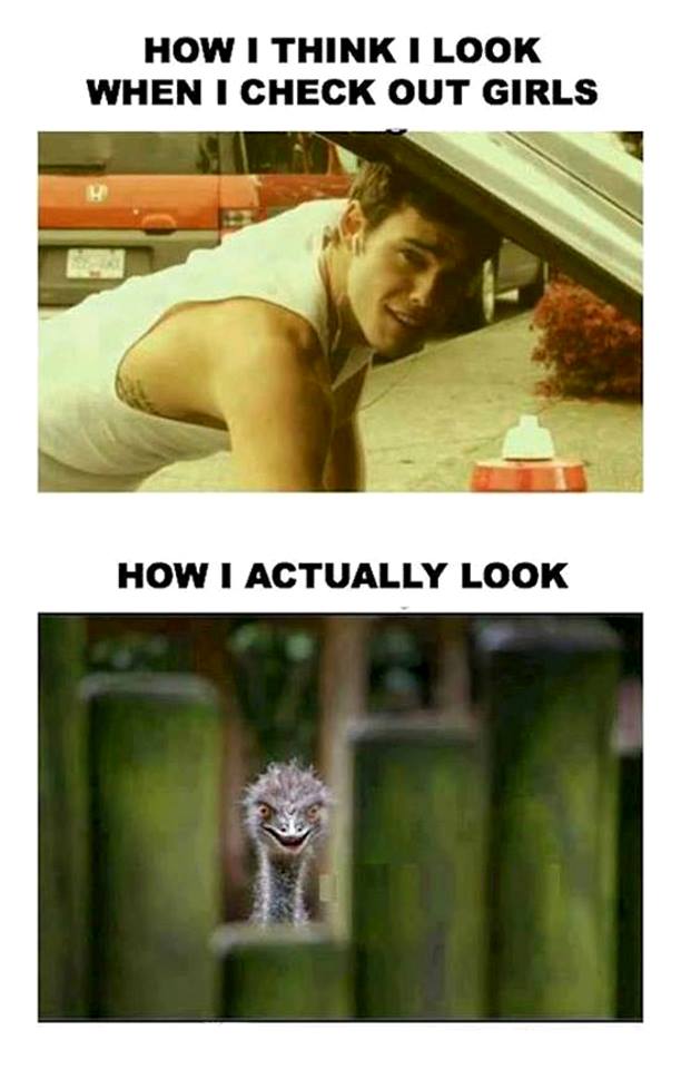 girls hilarious funny memes - How I Think I Look When I Check Out Girls How I Actually Look
