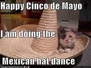 cinco de mayo cat - Happy Cinco de Mayo I am doing the Mexican hat dance Herren