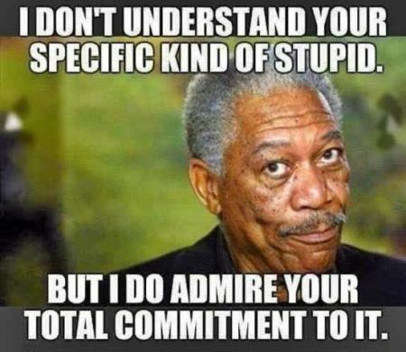 morgan freeman - I Don'T Understand Your Specific Kind Of Stupid. But I Do Admire Your Total Commitment To It.