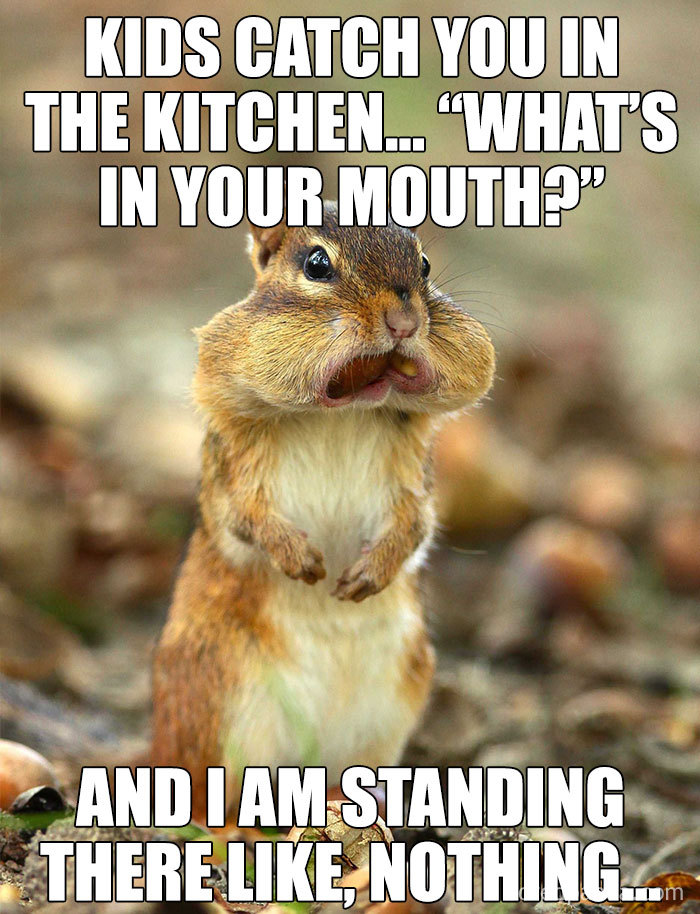 mom funny memes - Kids Catch You In The Kitchen... "What'S In Your Mouth?" And I Am Standing There , Nothing...