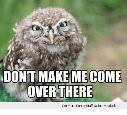 funny owl - Don'T Make Me Come Over There Get More Funny Stuff @ funnyasduck.net