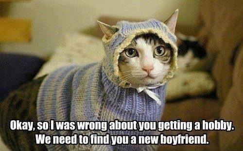 funny knitting - Okay, so I was wrong about you getting a hobby. We need to find you a new boyfriend.