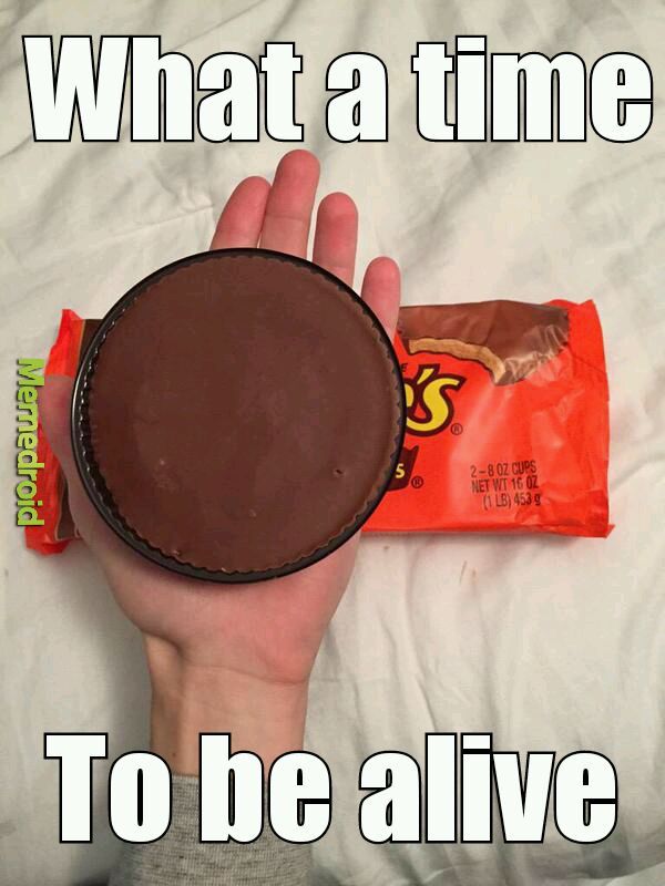 reeses memes - What a time S Memedroid 5 28 Oz Cups Net Wt 16 Oz 1 Lb 4539 To be alive