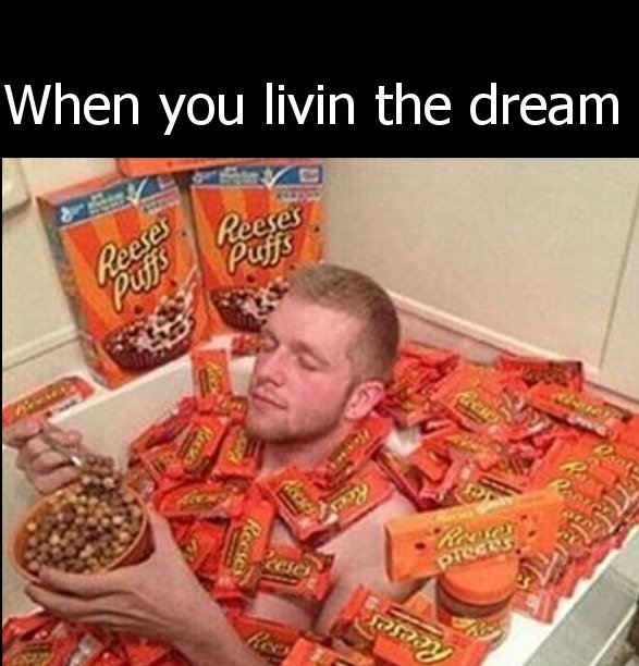 reeses funny - When you livin the dream Reeses puffs Reeses Puffs Gach oy Reeses Rre Di preces priory