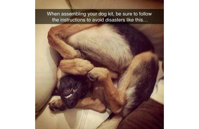 dog assembly instructions - When assembling your dog kit, be sure to the instructions to avoid disasters this...