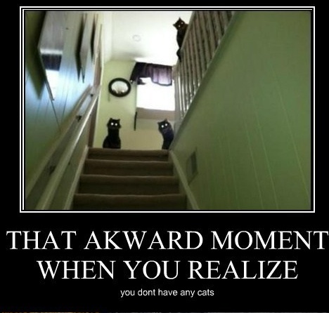 funny awkward moments - That Akward Moment When You Realize you dont have any cats