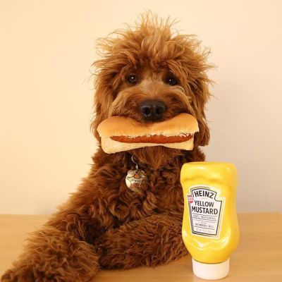 funny national hot dog day - Heinz Yellow Mustard