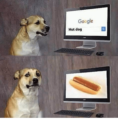 hot dog meme - Google Hot dog