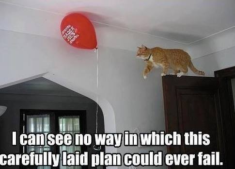 cat - Gr Reader S 301 I can see no way in which this carefully laid plan could ever fail.