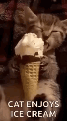 cat eating ice cream cone - Cat Enjoys Ice Cream