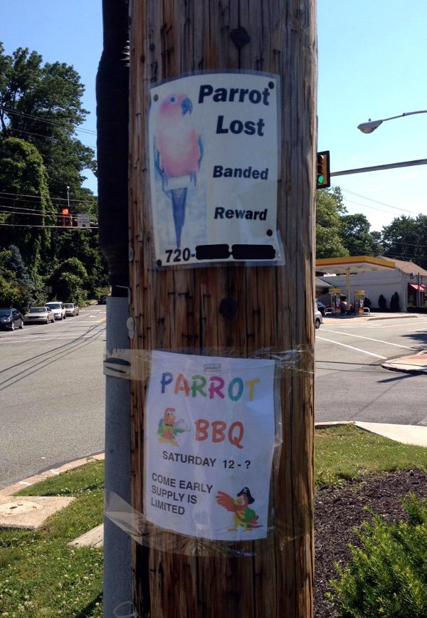 Parrot Lost Banded Reward 720 Parrot Bbq Saturday 12 ? Come Early Supply Is Limited