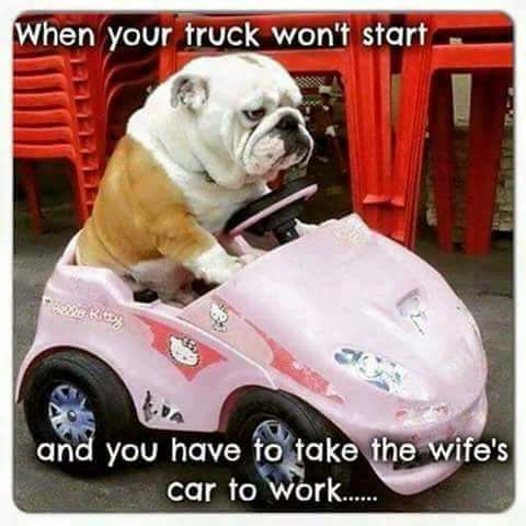 english bulldogs memes - When your truck won't start and you have to take the wife's car to work..... to take the wife's