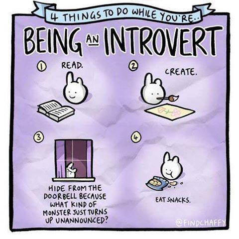 4 things to do while you re being an introvert - 4 Things To Do While You'Re You'Res Being Introvert Read. Create. 3 Hide From The Doorbell Because What Kind Of Monster Just Turns Up Unannounced? Eat Snacks.