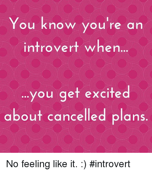 love you - an You know you're introvert when... ...you get excited about cancelled plans. No feeling it.