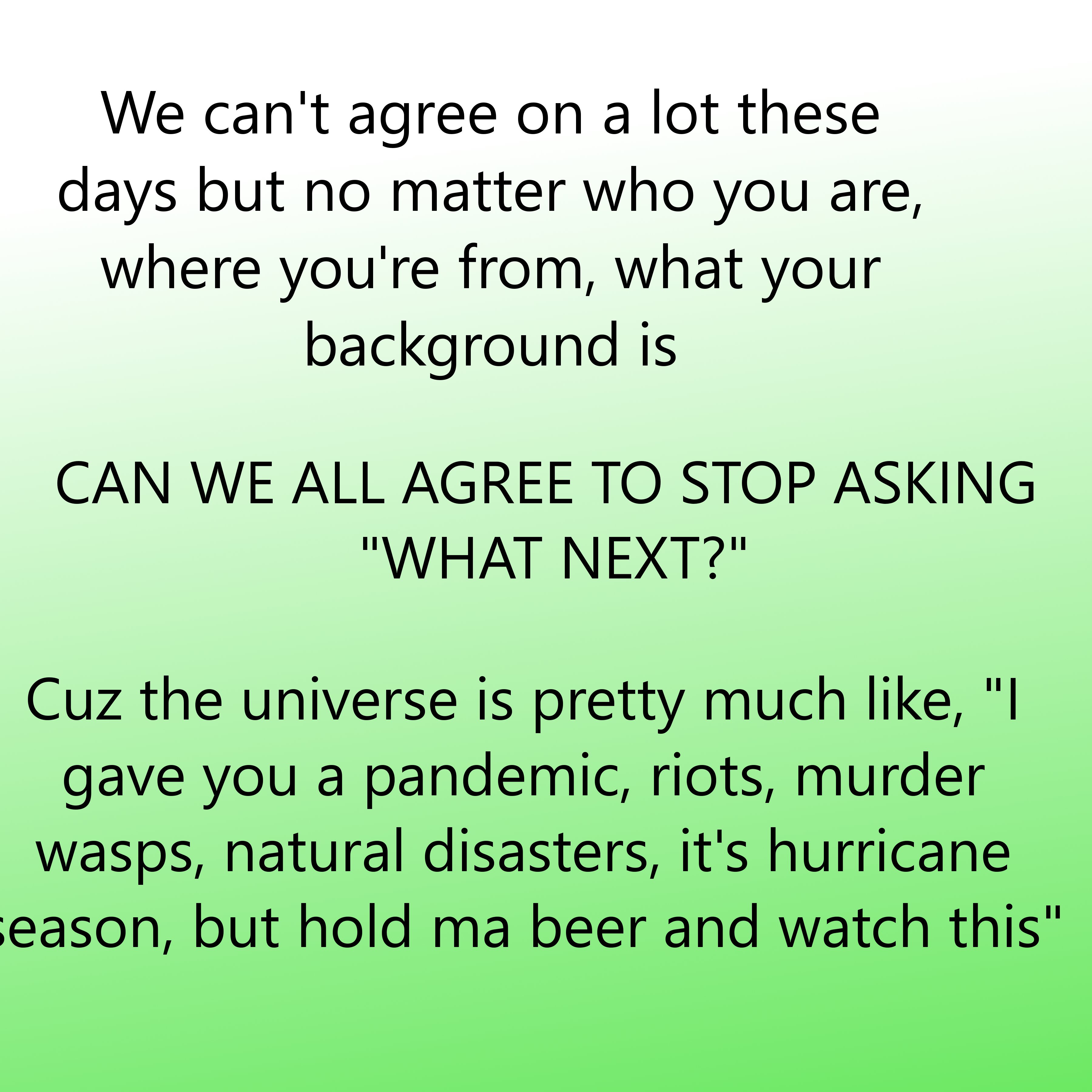playground dad - We can't agree on a lot these days but no matter who you are, where you're from, what your background is Can We All Agree To Stop Asking "What Next?" Cuz the universe is pretty much , "I gave you a pandemic, riots, murder wasps, natural d
