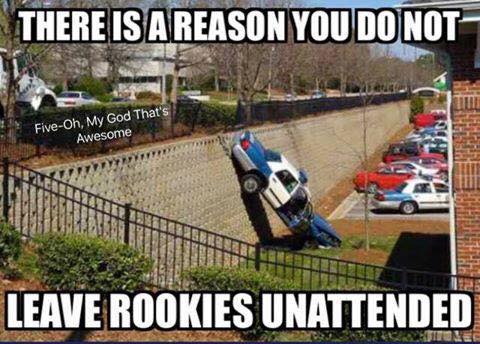 stupid cops - There Is A Reason You Do Not FiveOh, My God That's Awesome Leave Rookies Unattended Ones