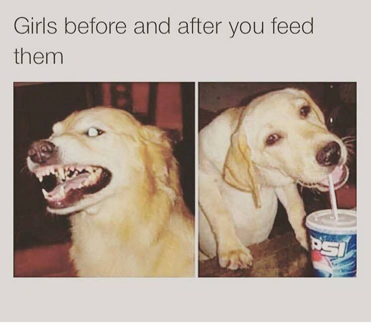 girls are hungry - Girls before and after you feed them Bsi